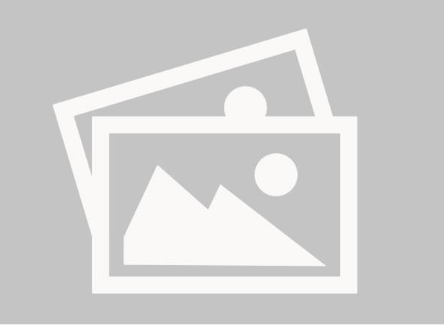 Website Speed Performance
